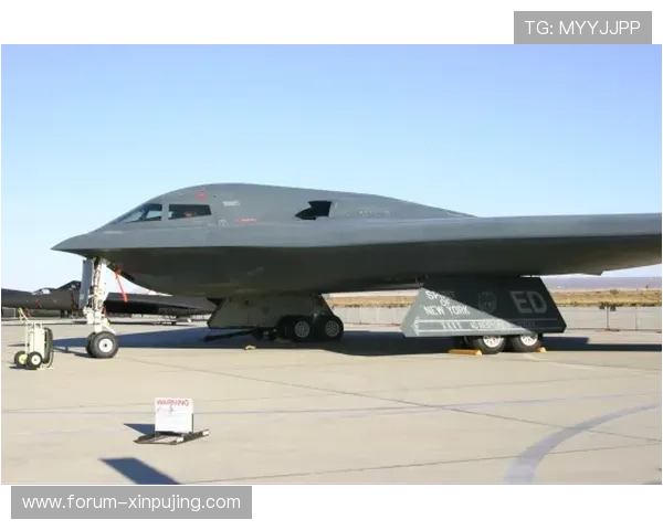 美因茨05俱乐部的发展历程与未来战略全面解析